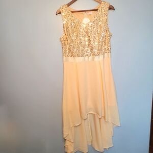 NWT Berry Love Girls Champagne Hi-Low, Sequin,Formal,Bridal, Event Dress Size XL